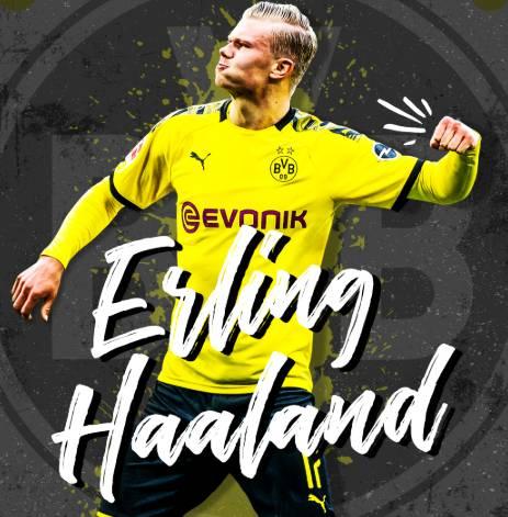 记者：武什科维奇1月不回热刺，他将在汉堡效力至本赛季结束（记者：武什科维奇冬窗不回热刺，将留在汉堡至赛季末）